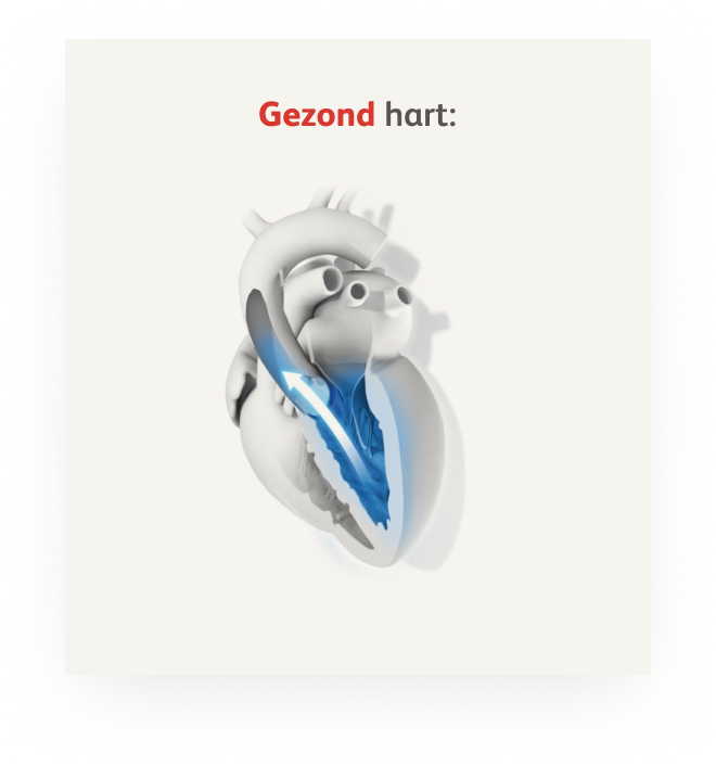 gezond hart